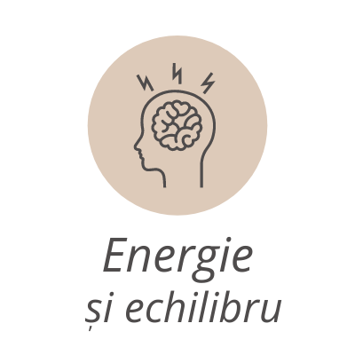 categoria energie si echilibru